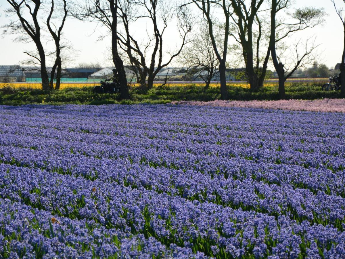 Cosy Holiday Home In Noordwijkerhout Near Lake Luaran gambar